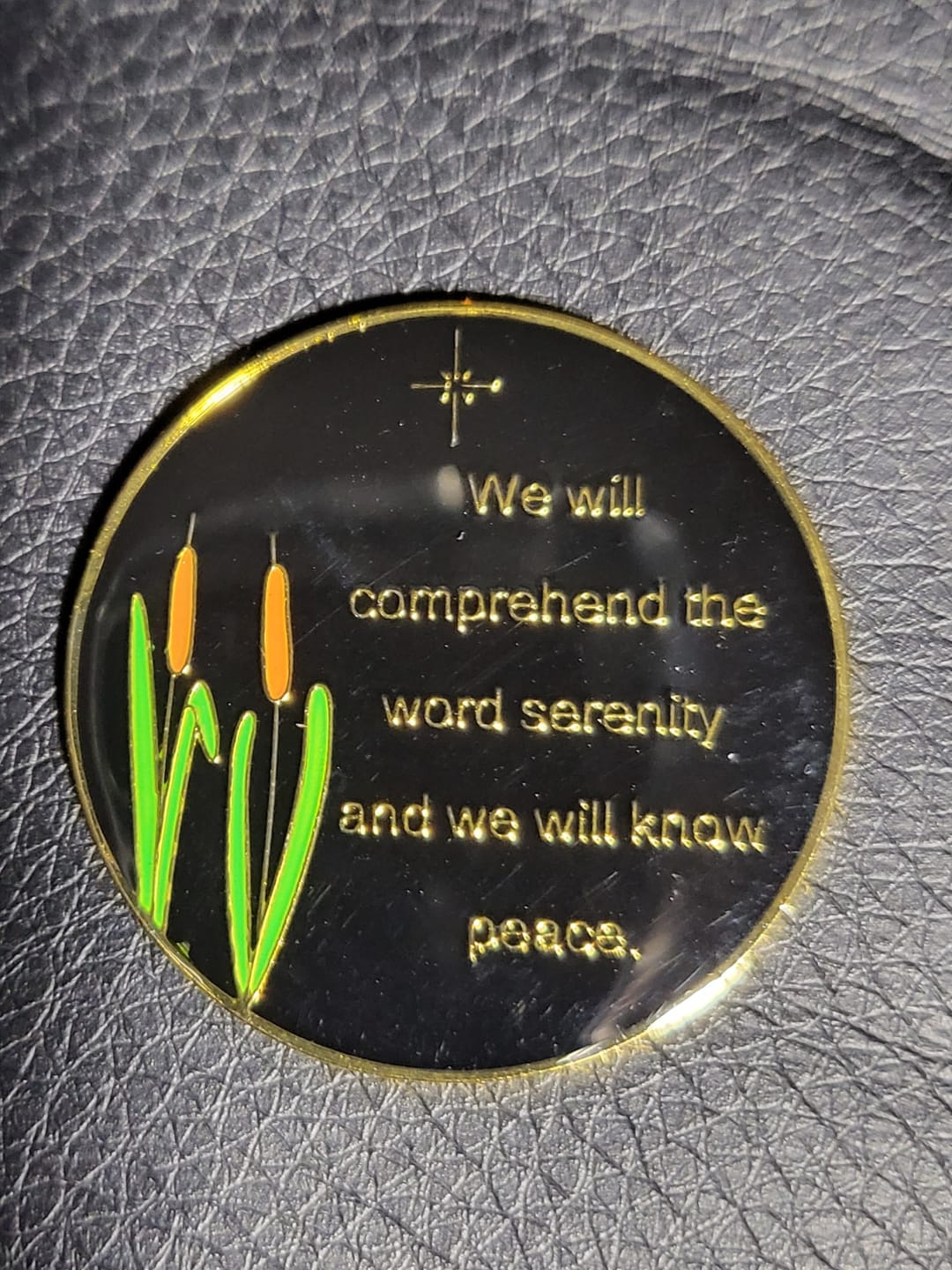 Customer photo review of 1 to 60 Year Dragonfly 9th Step Specialty AA Recovery Medallion - Tri-Plated Chip/Coin