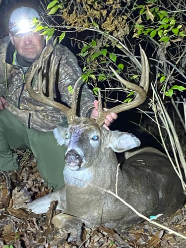 Customer photo review of RANGER HYBRID™