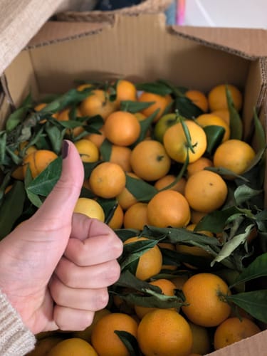 Jihane F. review of Clémentines Bio - Origine Corse image 1 out of 1