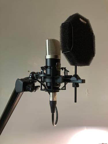 Customer photo review of Mini K87 Condenser Microphone