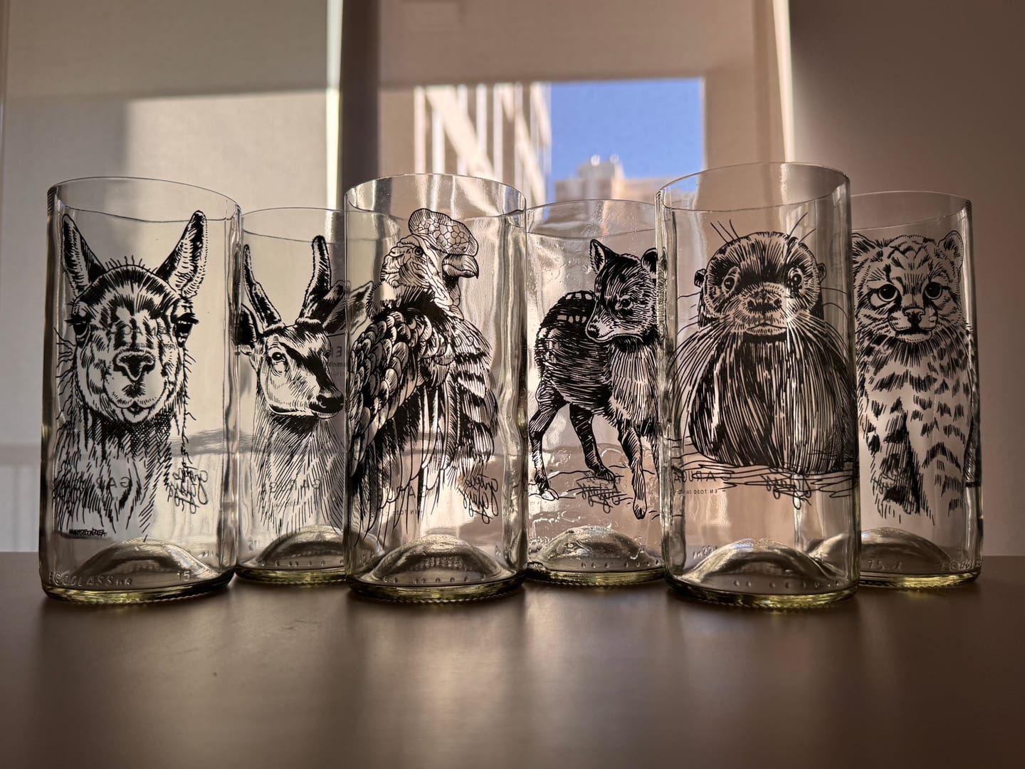 Customer photo review of Fauna Chilena - Juego de 6 vasos