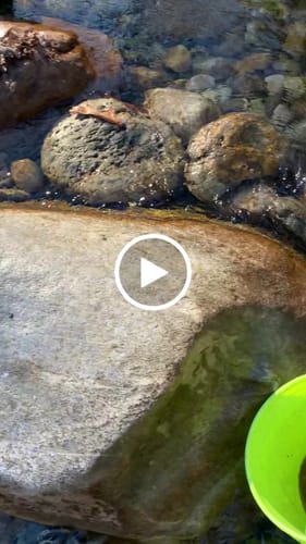 Customer video review of 18" Leg Kit for Gold Highbankers & Sluices