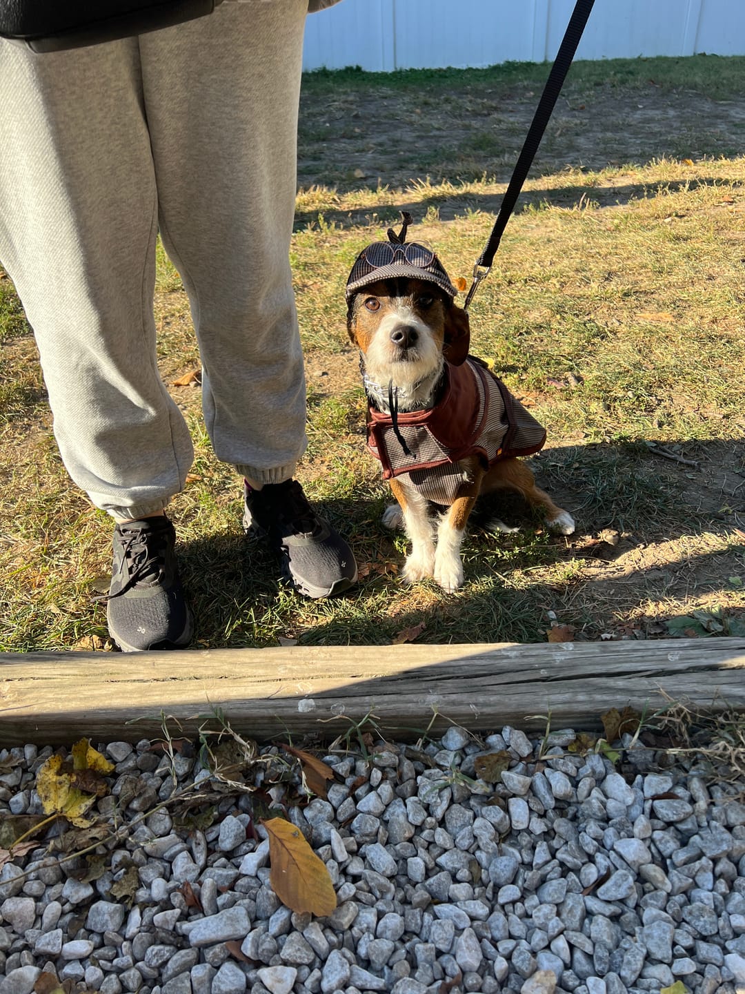 Customer photo review of Sherlock Hound
