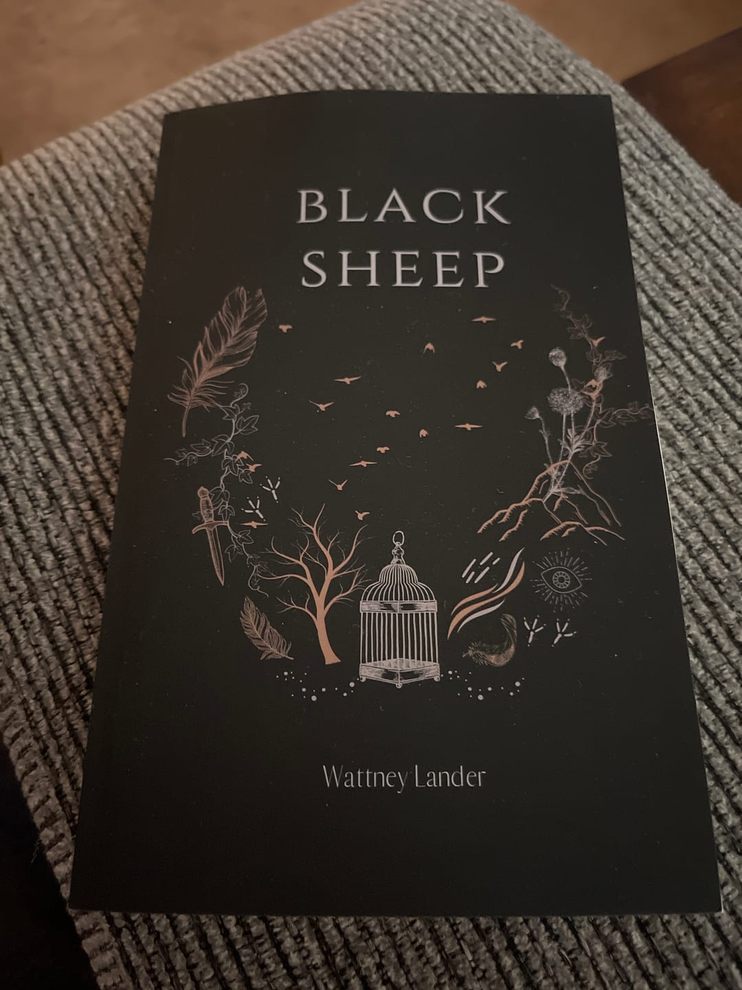 Customer photo review of Black Sheep