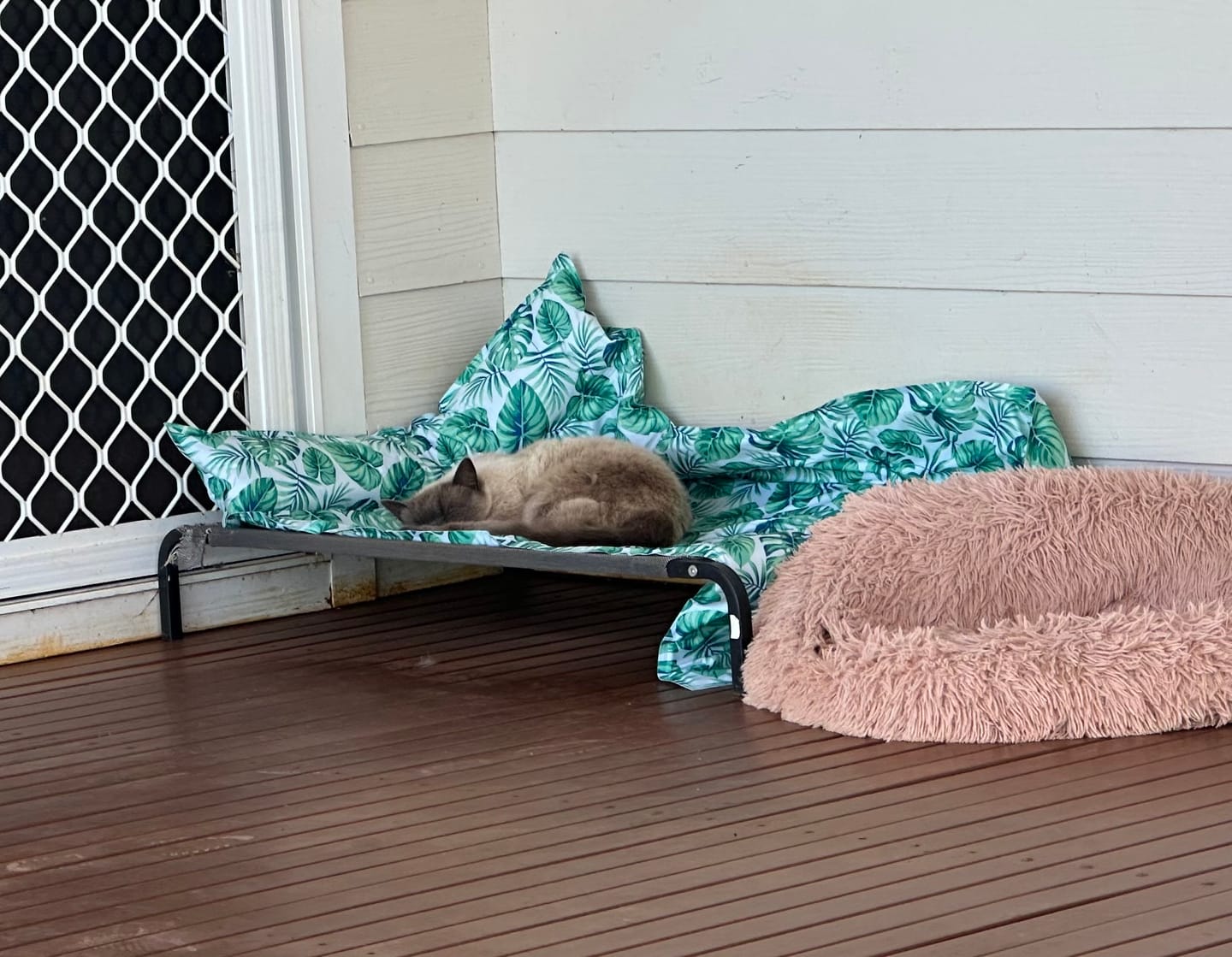 Customer photo review of PaWz Dog Summer Cooling Mat