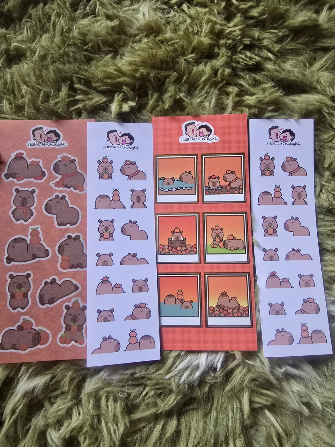 Customer photo review of Autumn Capybaras Variety Sticker Pack