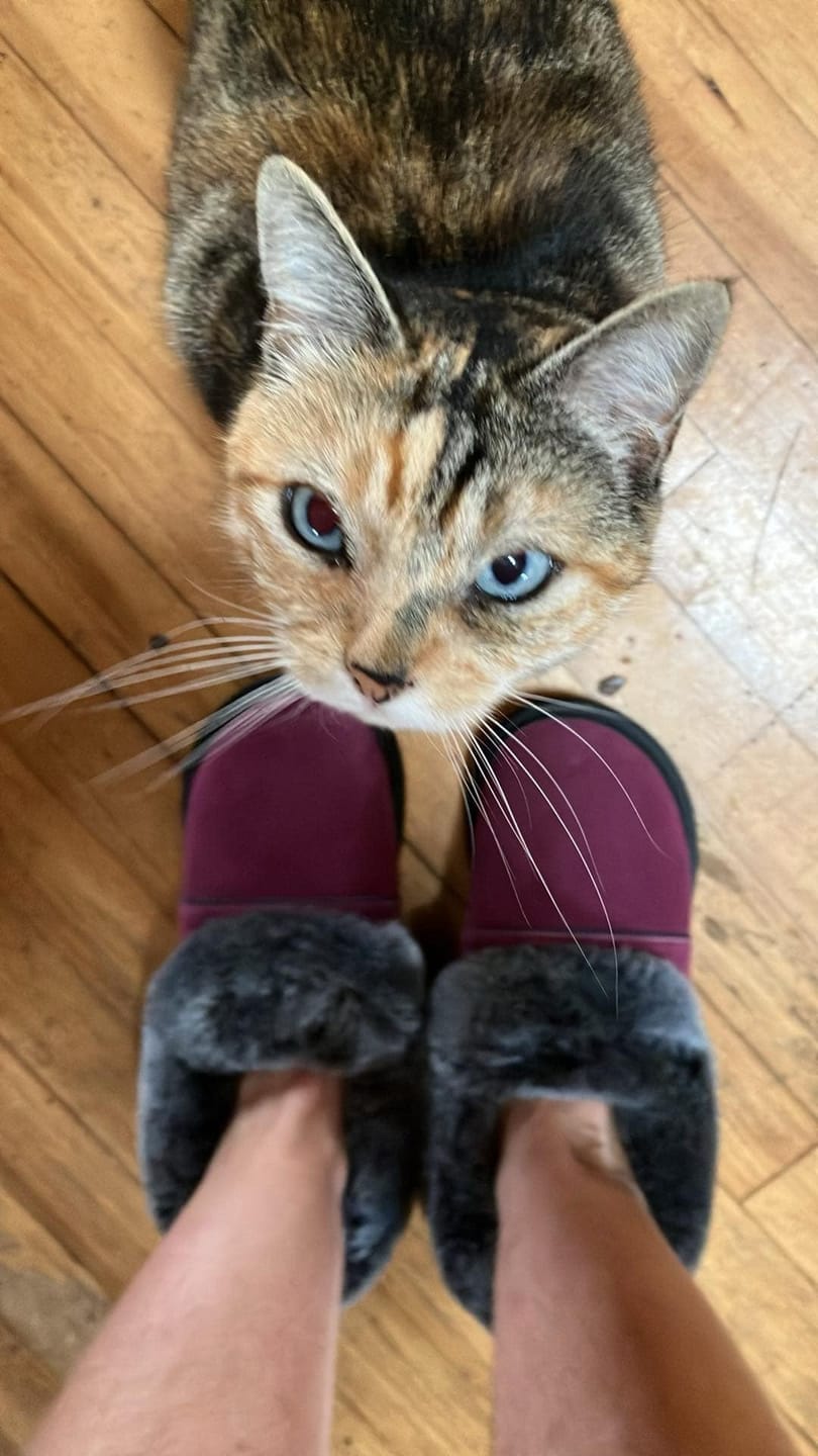 Customer photo review of Women's Lazybone Garneau Sheepskin Slippers