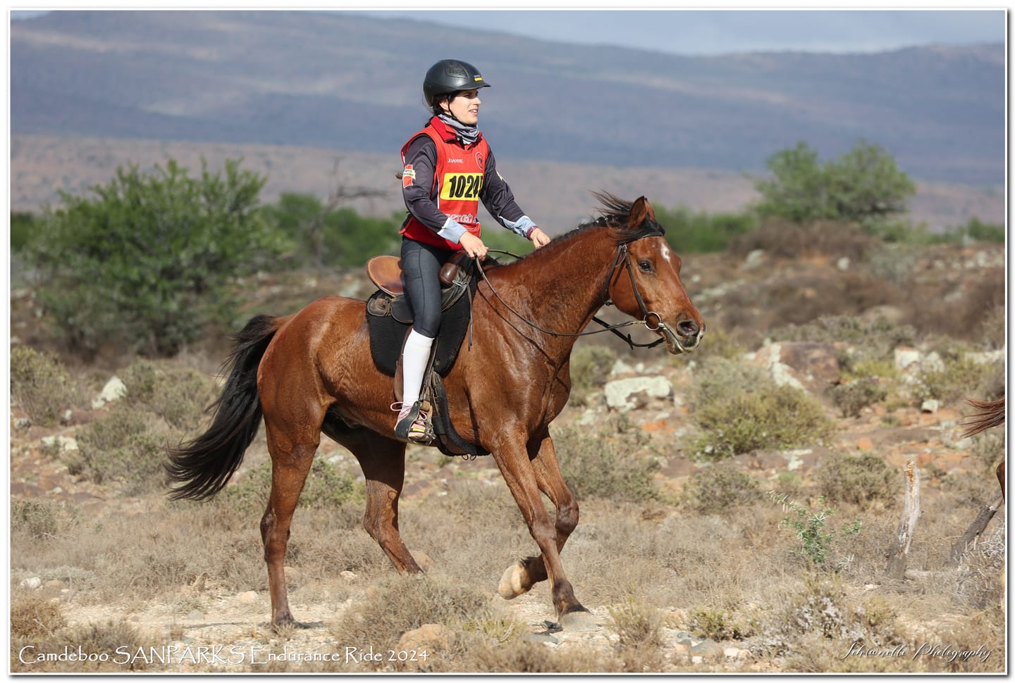 Customer photo review of Flexcare Equine (Joint Supplement For Horses)