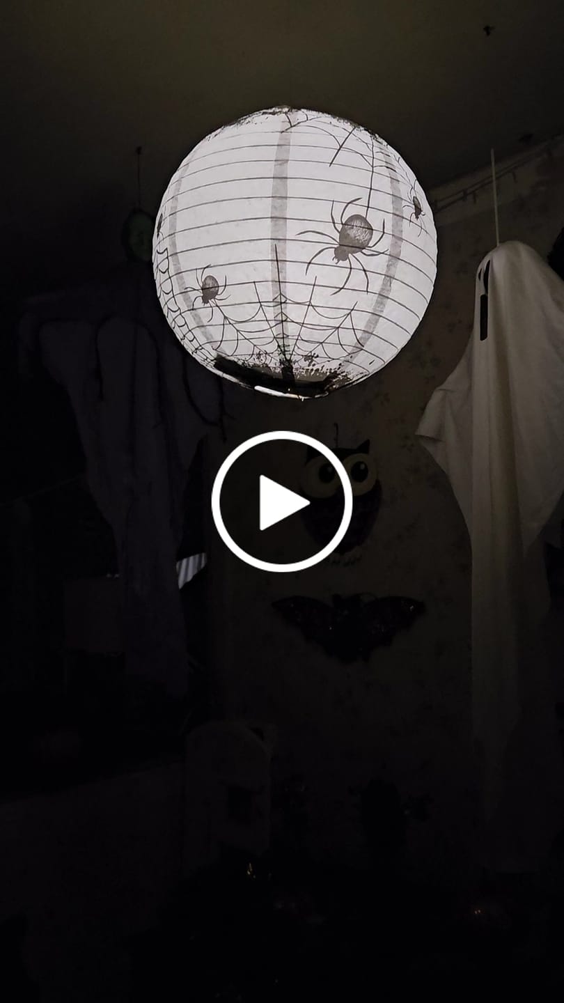 Customer video review of 14" Halloween Spiders Spooky Bug Webs Paper Lantern, Hanging Decoration