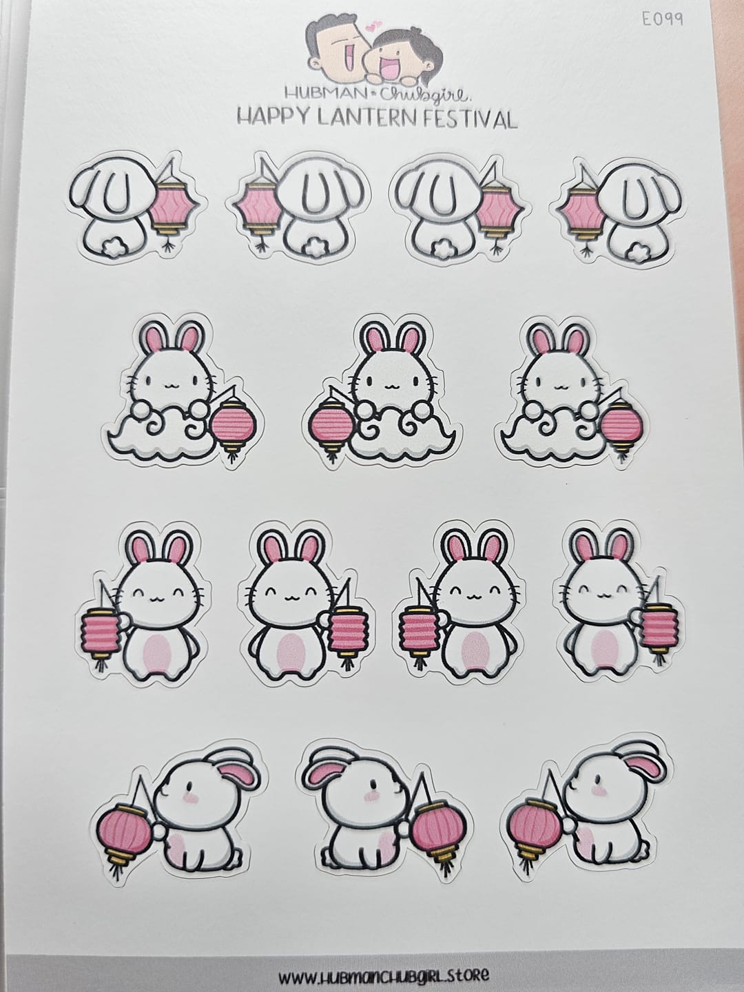 Customer photo review of Happy Lanterns Festival Planner Stickers