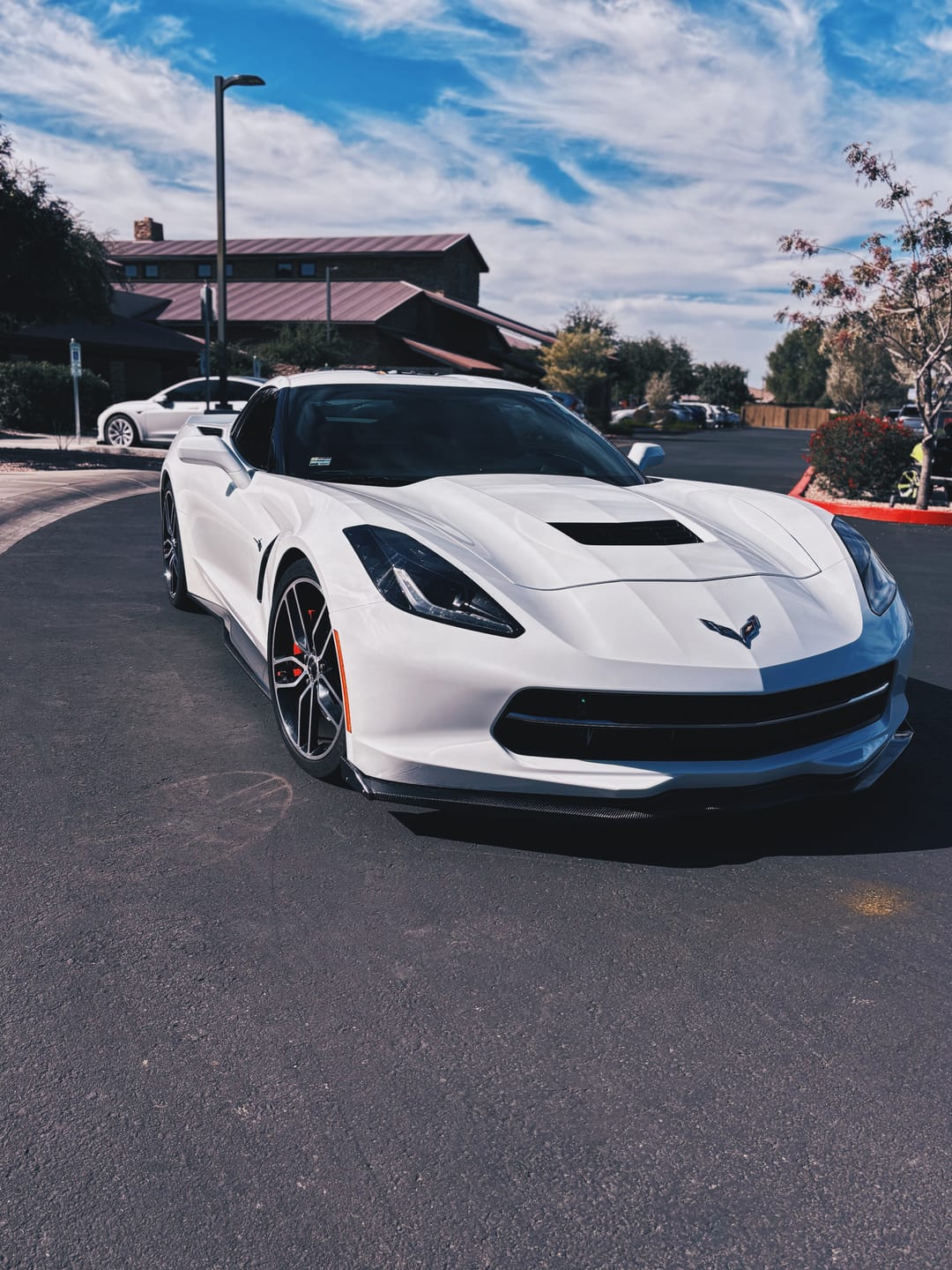 Customer photo review of Corvette C7 Z06 Conversion Side Skirts Rocker Panels