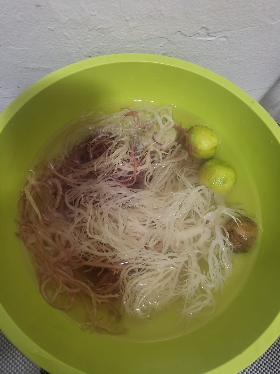 Customer photo review of Full Spectrum Irish Sea moss