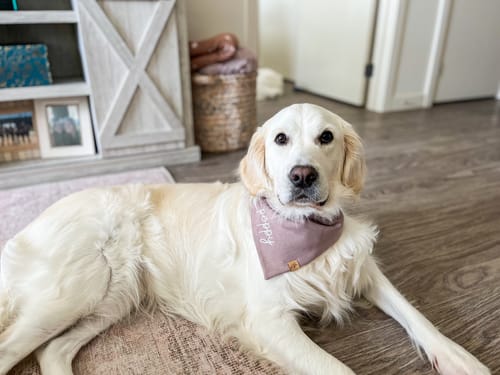 Customer photo review of Custom Name Embroidered Bandana