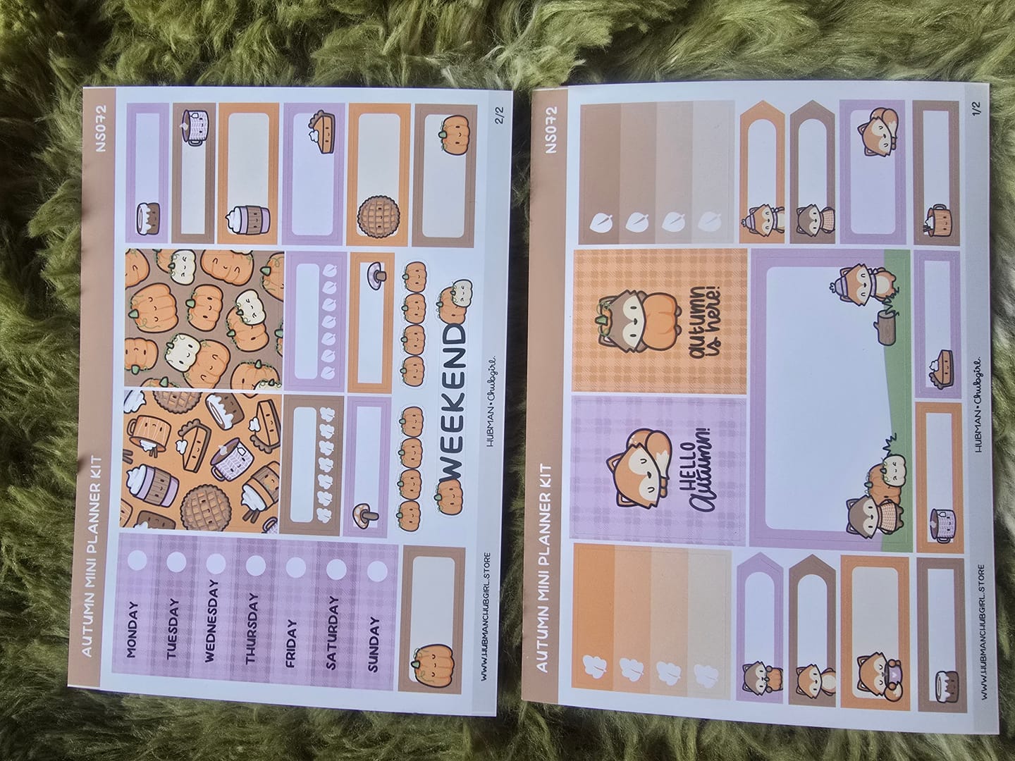 Customer photo review of Autumn Mini Planner Kit (Set of 2)