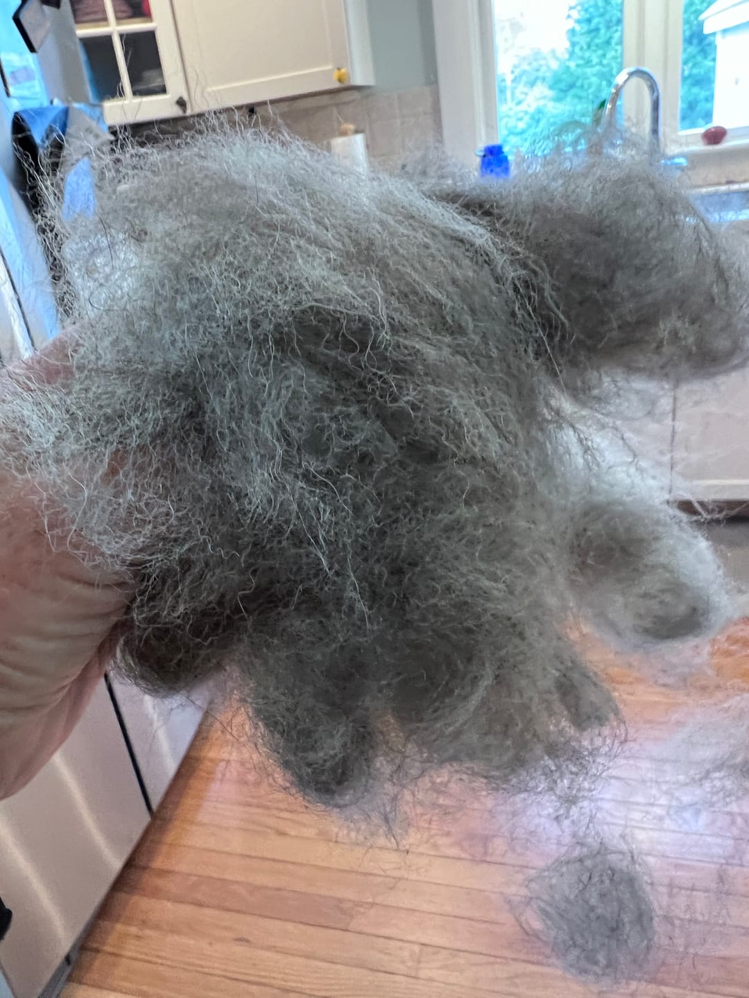 Customer photo review of Original Pet Grooming Vacuum Kit