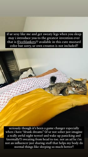 Customer photo review of The Ice Blanket