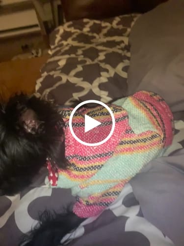 Customer video review of Playa Poncho - Surprise Color