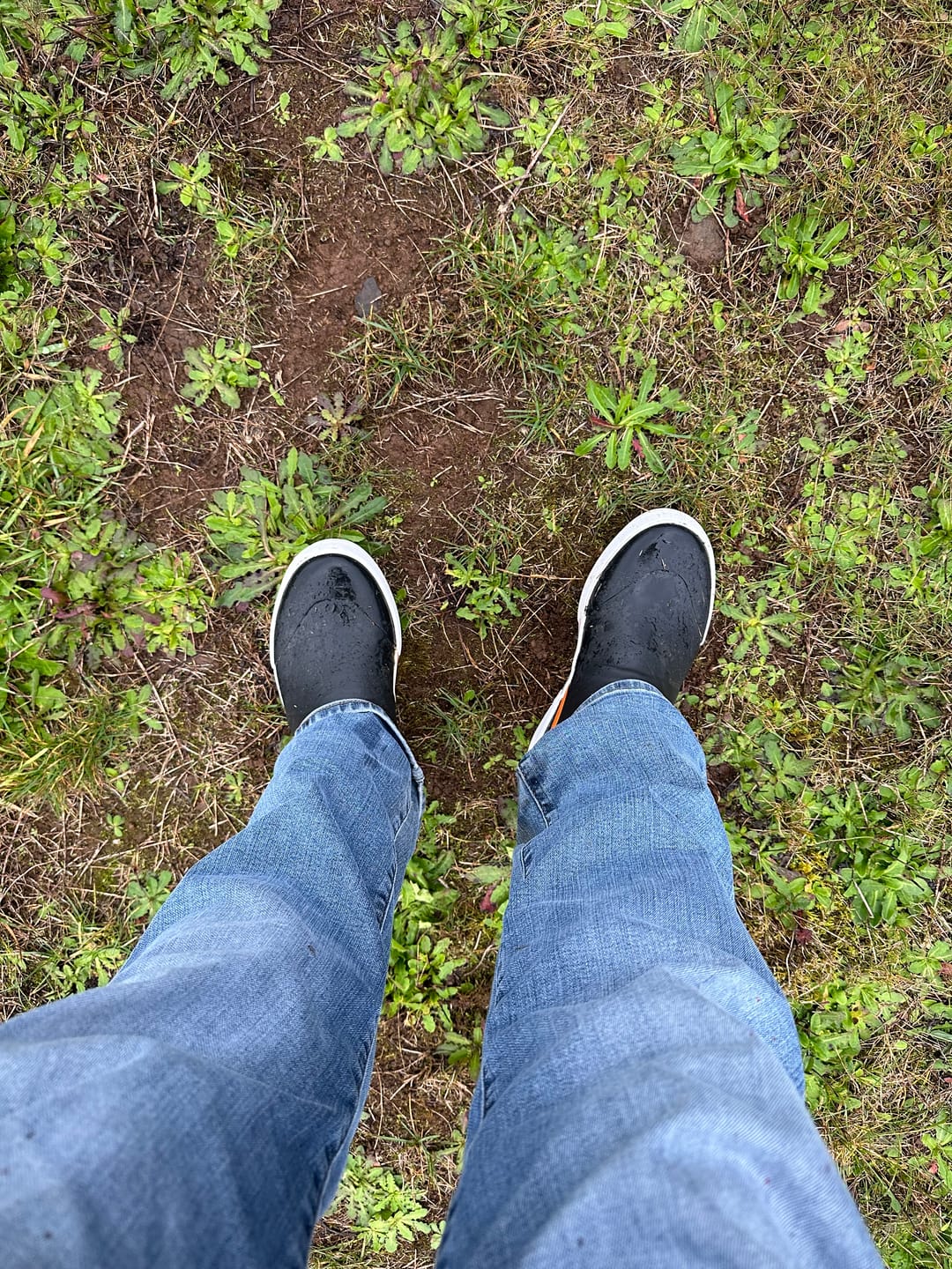 Customer photo review of Men's 6 inch Waterproof Deck Boots