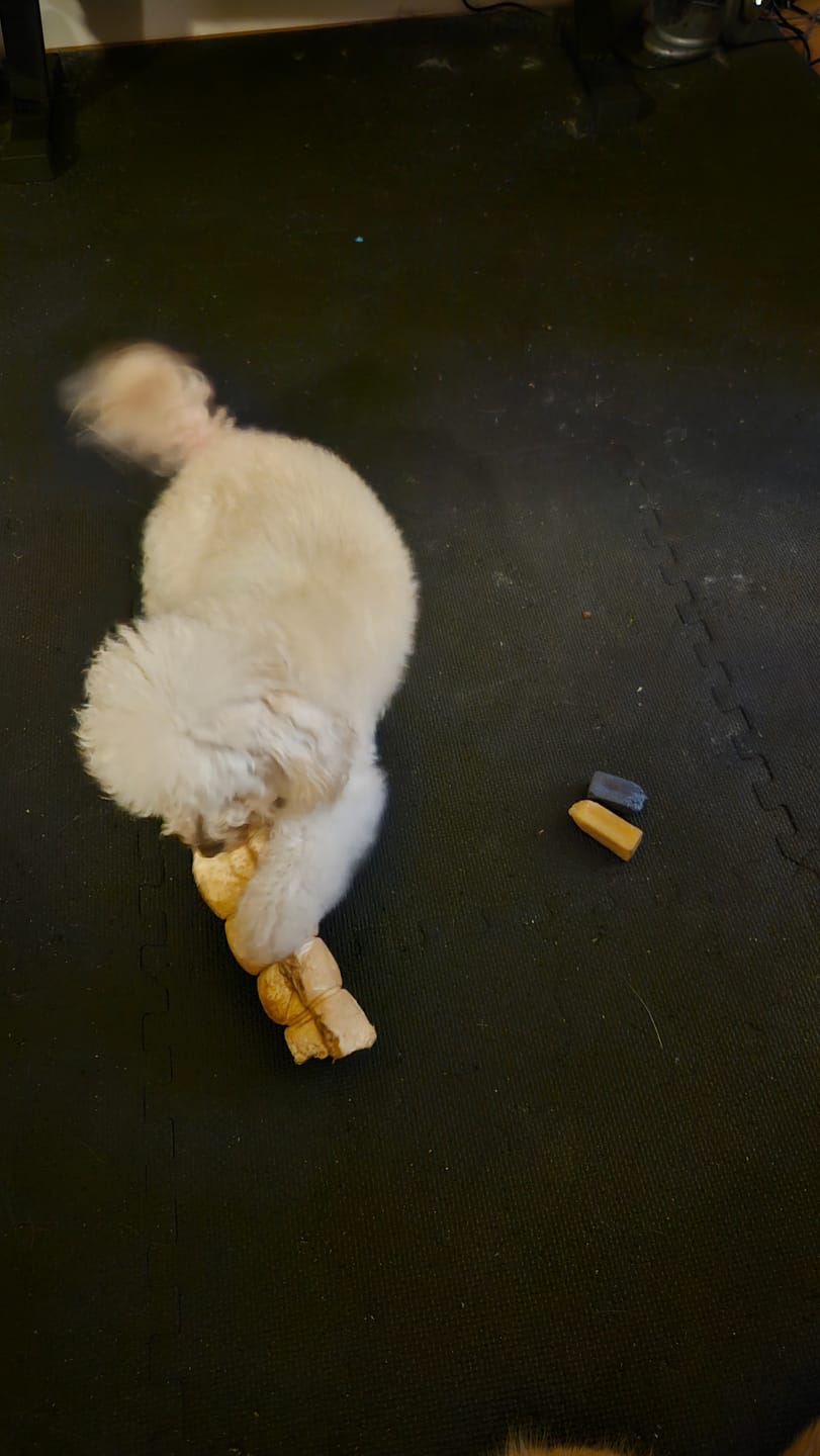 Customer photo review of 10-12 Inch Peanut Butter Cheek Roll