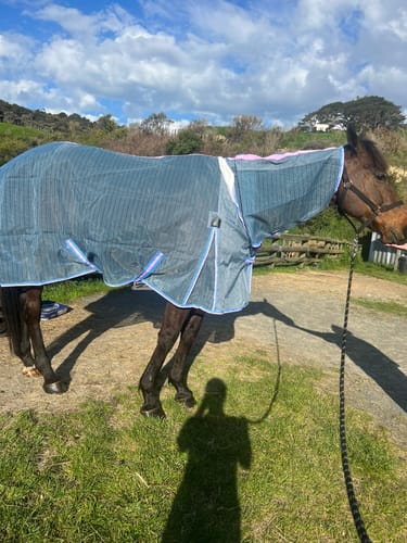 Customer photo review of Weatherbeeta ComFiTec Ripshield Plus Combo Neck - Grey/Cornflower