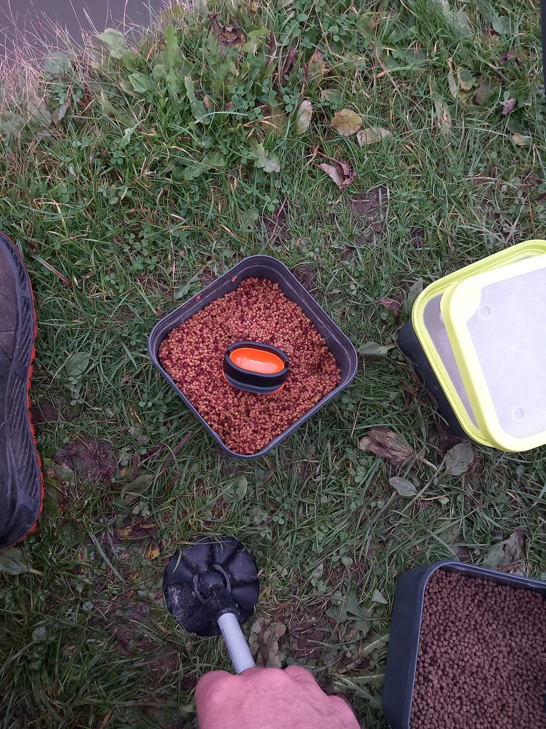 Customer photo review of PREMIUM COARSE PELLETS - ALLTECH COPPENS