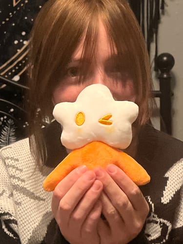 Customer photo review of Adopt a Star Baby Plush Blind Box