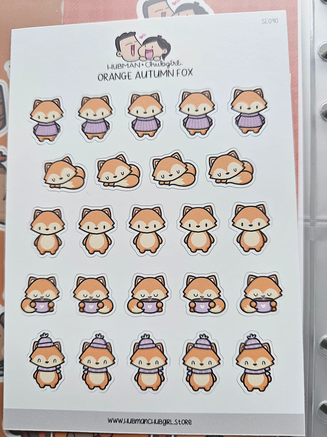 Customer photo review of Orange Autumn Fox Planner Stickers