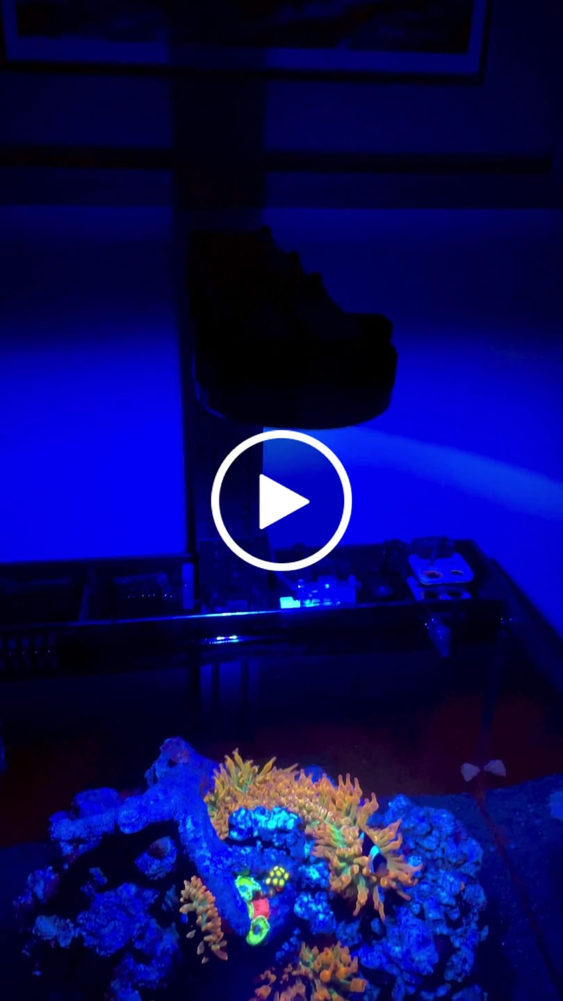 Customer video review of Pixel LED Bundle