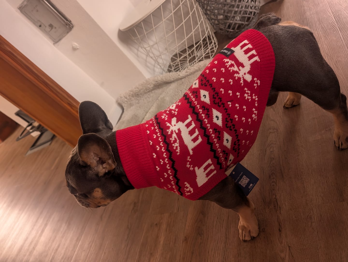 Customer photo review of Christmas Dog Knit Sweater