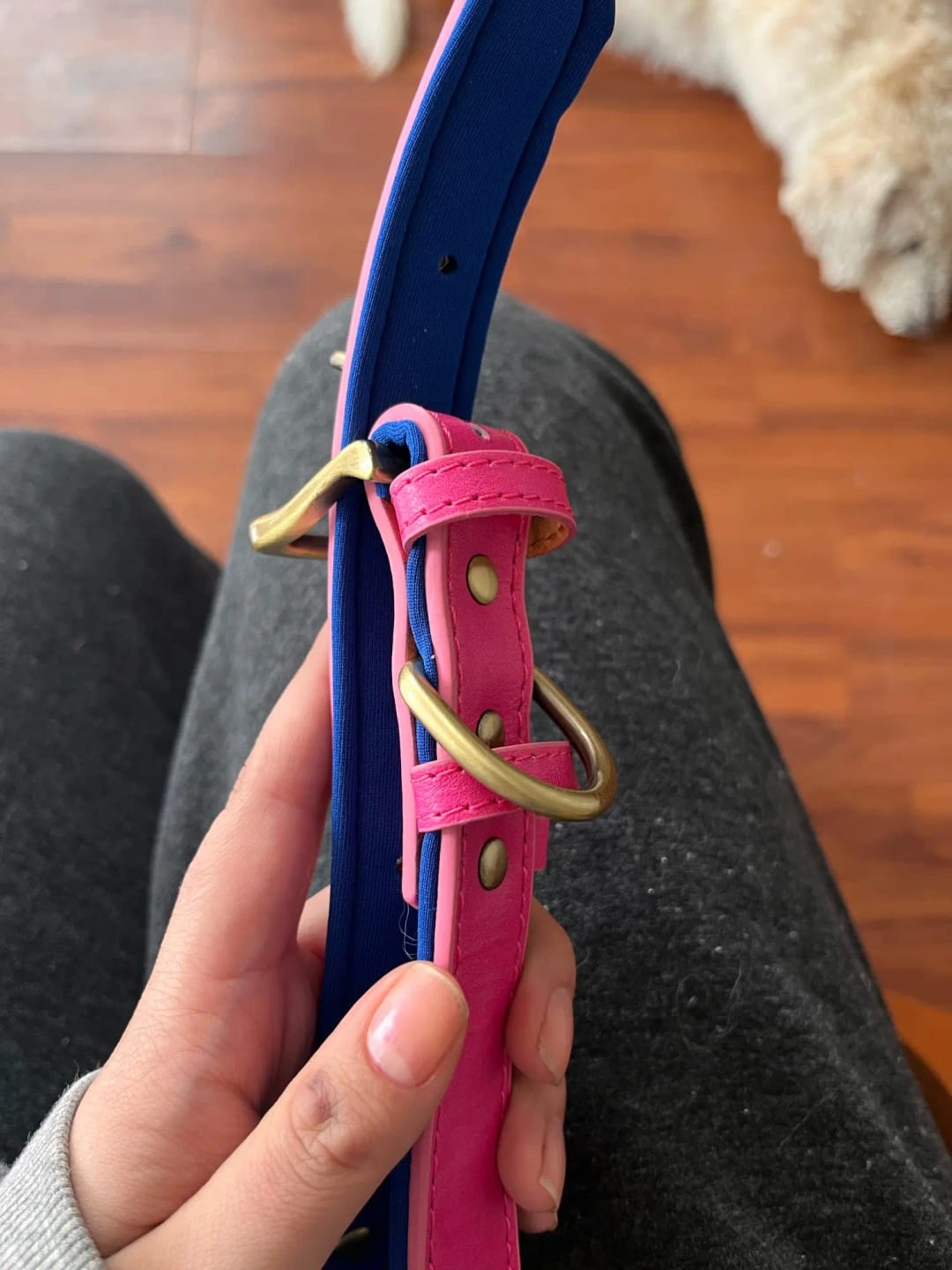 Customer photo review of Customized Leather ID Nameplate Dog Collar Soft Padded Dogs Collars Free Engraving Name for Small Medium Large Dogs Adjustable