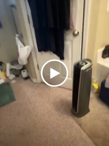 Customer video review of Sunday Funday Rack