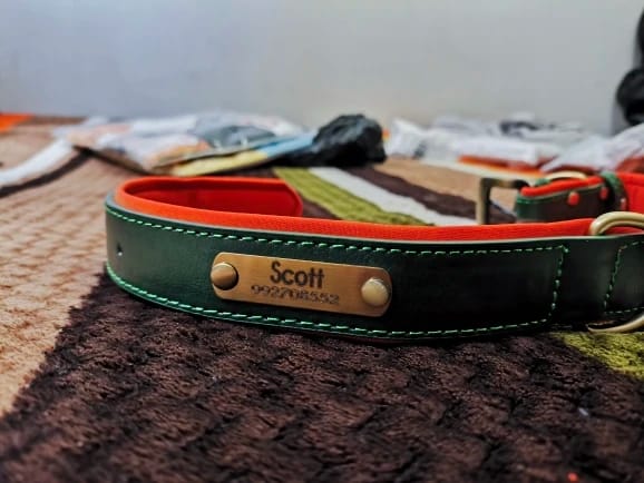 Customer photo review of Customized Leather ID Nameplate Dog Collar Soft Padded Dogs Collars Free Engraving Name for Small Medium Large Dogs Adjustable