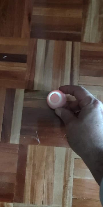 Customer photo review of Cat Interactive Electronic Automatic Rolling Magic Ball Toy: Self-moving Kitten Electric Ball for Cat Training