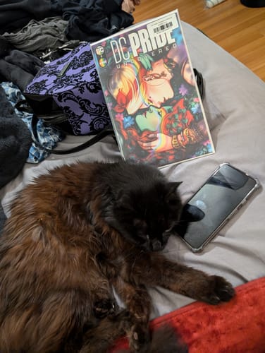 Customer photo review of DC Pride: Uncovered (2024) #1