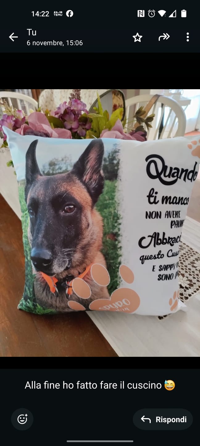 Customer photo review of Quando ti manco - Cuscino personalizzato