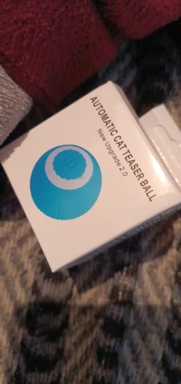 Customer photo review of Cat Interactive Electronic Automatic Rolling Magic Ball Toy: Self-moving Kitten Electric Ball for Cat Training