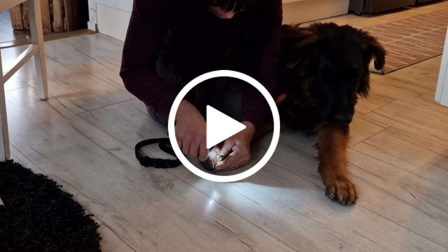 Customer video review of Elektrisk Kloslip™ - Spara tid & pengar
