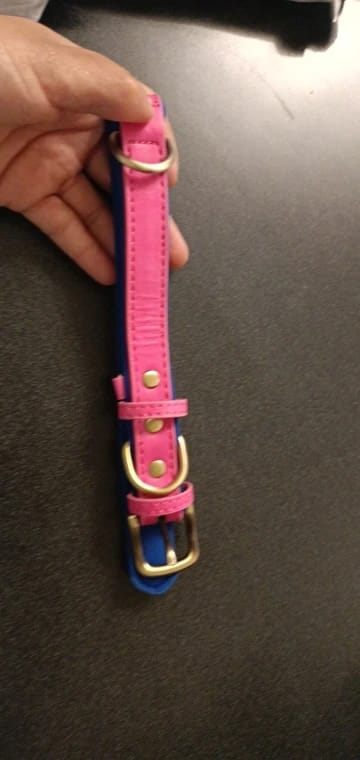 Customer photo review of Customized Leather ID Nameplate Dog Collar Soft Padded Dogs Collars Free Engraving Name for Small Medium Large Dogs Adjustable