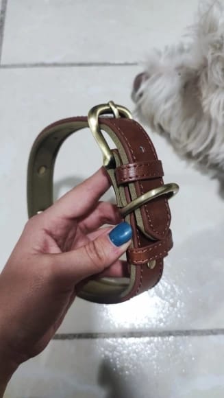 Customer photo review of Customized Leather ID Nameplate Dog Collar Soft Padded Dogs Collars Free Engraving Name for Small Medium Large Dogs Adjustable