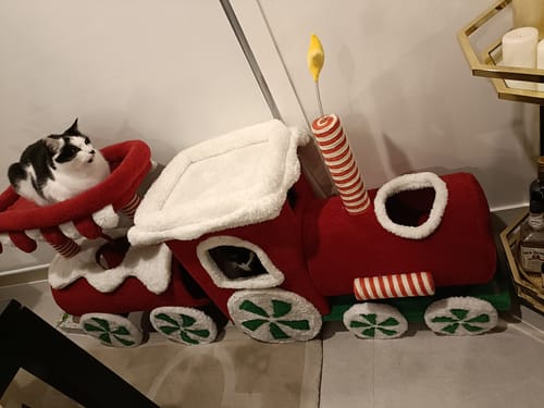 Customer photo review of ZeZe Christmas Train Cat Tree: Holiday-Themed Climbing Frame & Toy for Cats