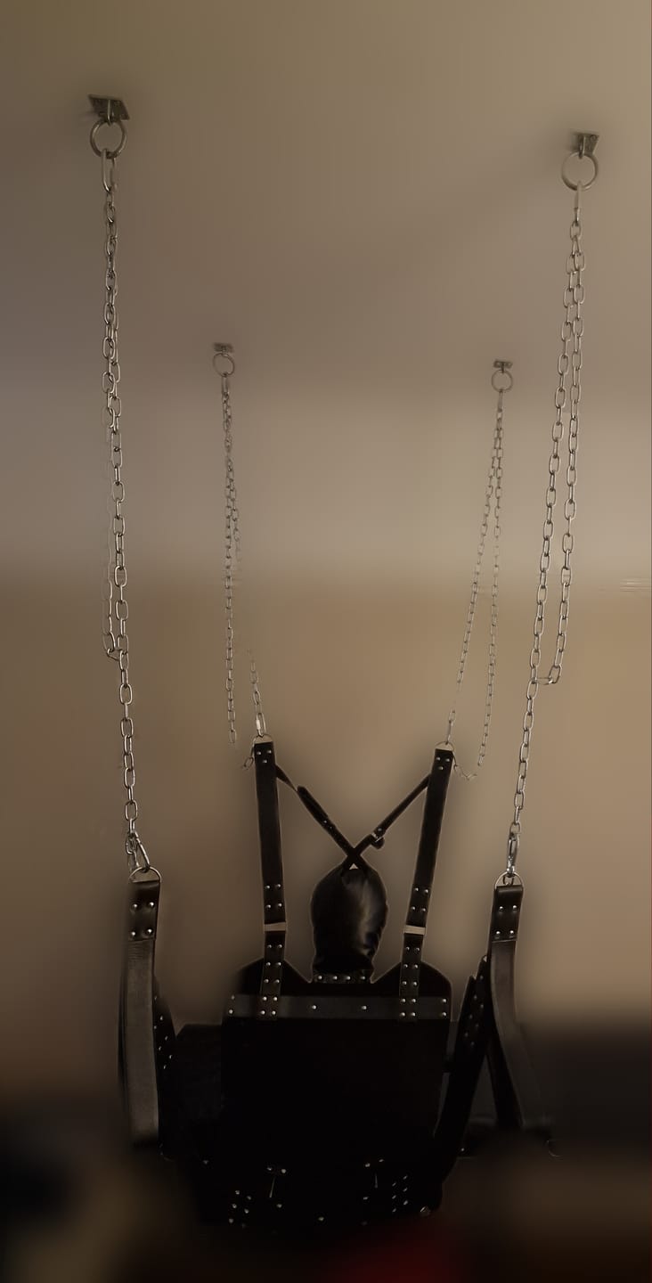Customer photo review of Leather Swing with Pillow and Stirrups