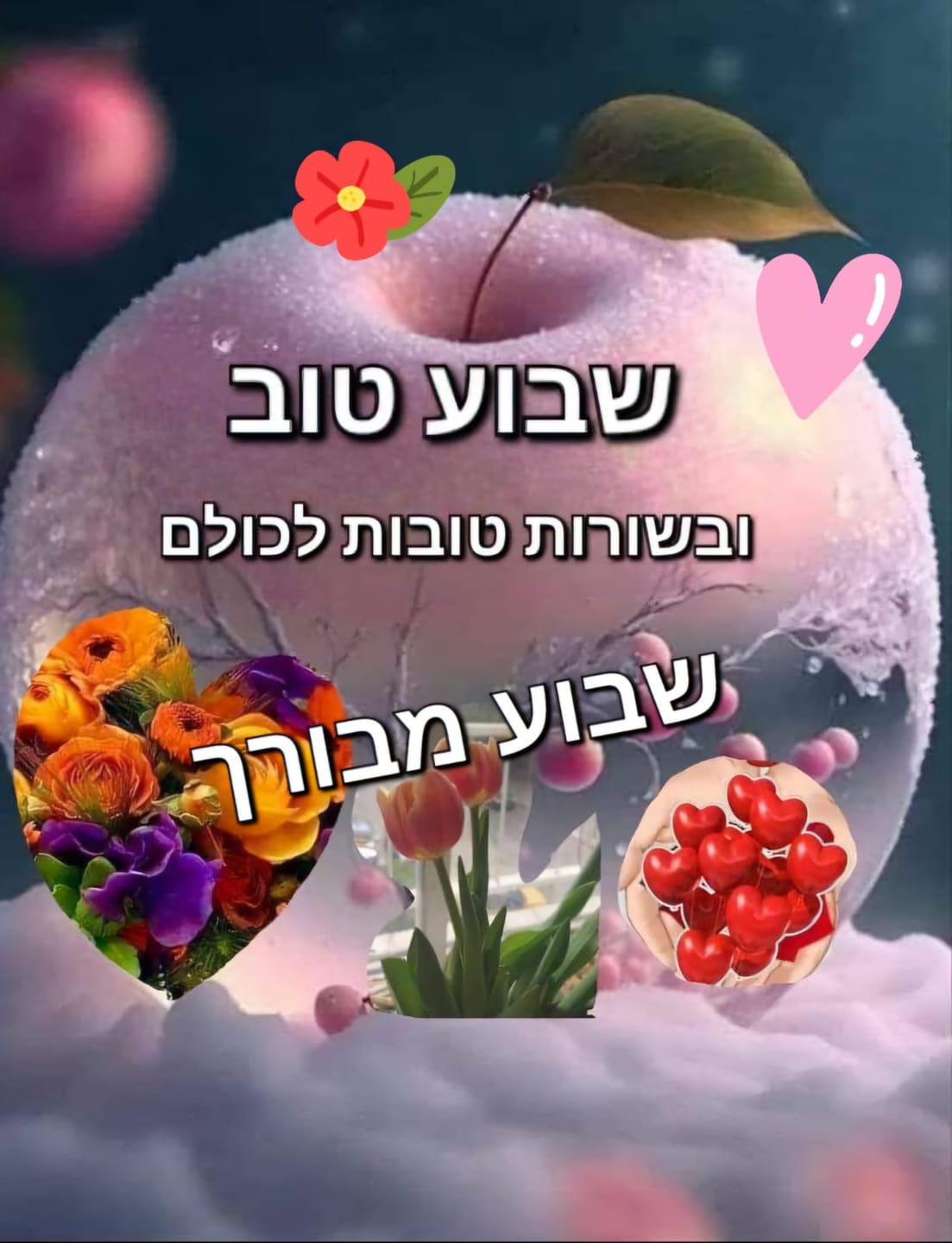 Customer photo review of The Israel Bible - Hardcover