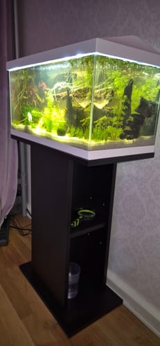 Customer photo review of Aquael Möbel Basic