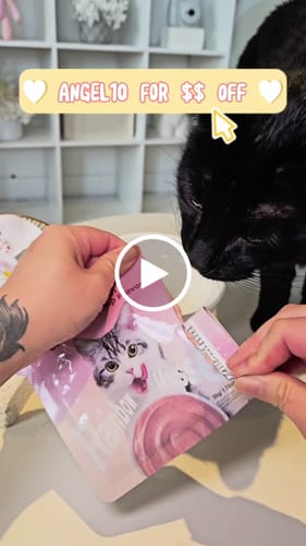 Customer video review of Michu Rainbow Mousse Wet Cat Food 5 Flavours- Complete Food/Wet Mixer and Topper 10pcs/Pack