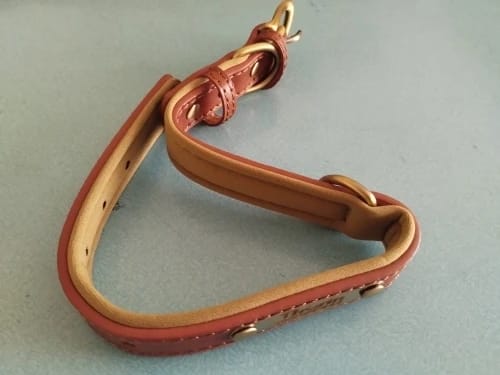 Customer photo review of Customized Leather ID Nameplate Dog Collar Soft Padded Dogs Collars Free Engraving Name for Small Medium Large Dogs Adjustable