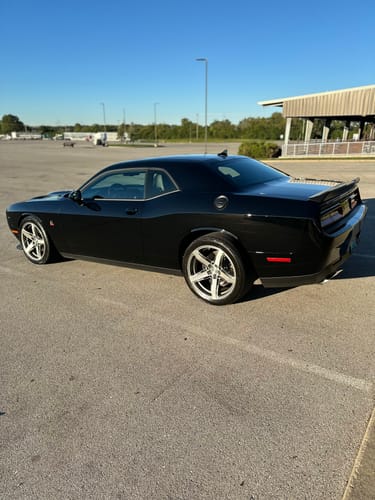 Customer photo review of BLACKLINE® TWISTED-LOOP DRYING TOWEL