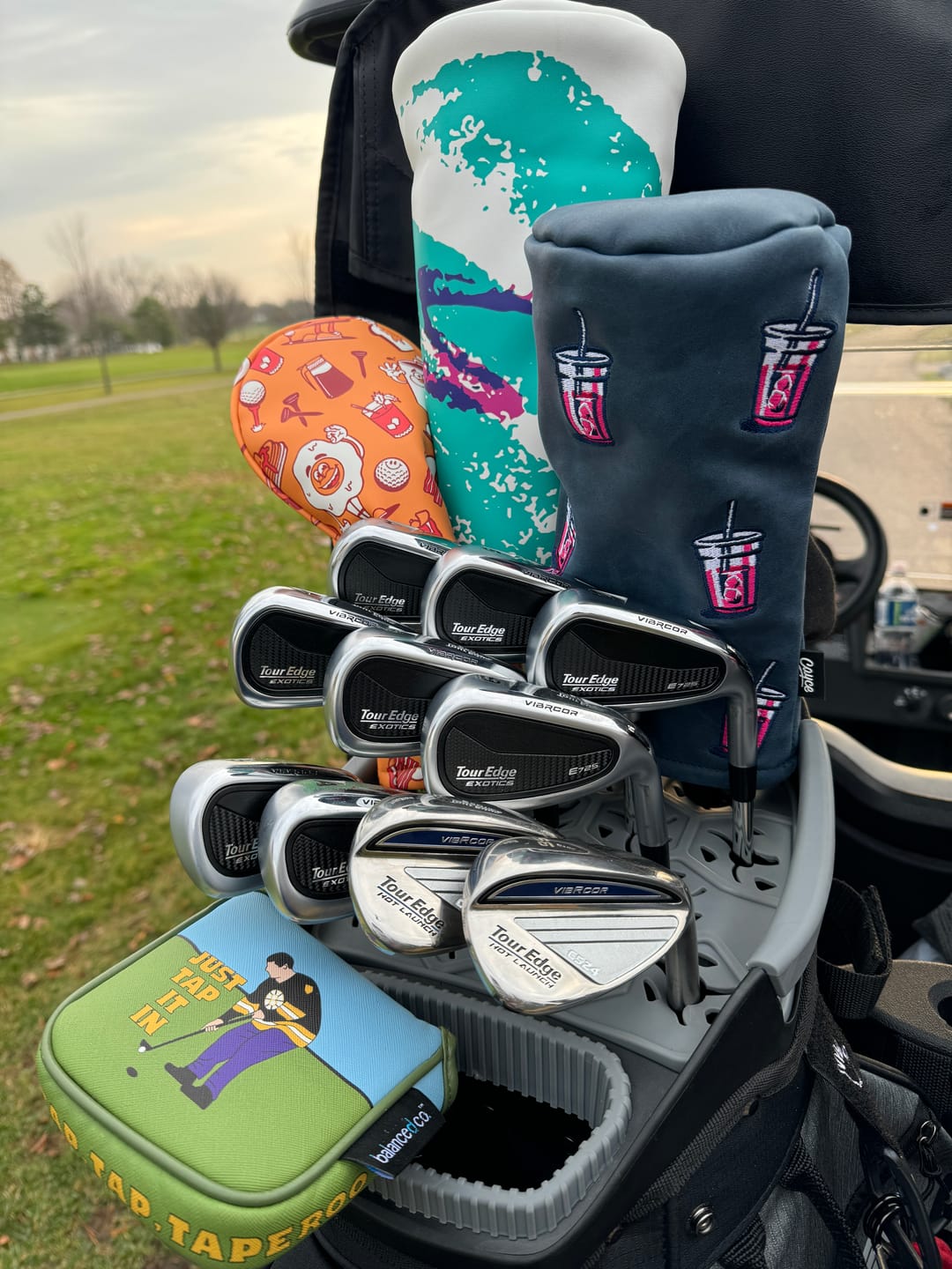 Customer photo review of Exotics E725 Irons