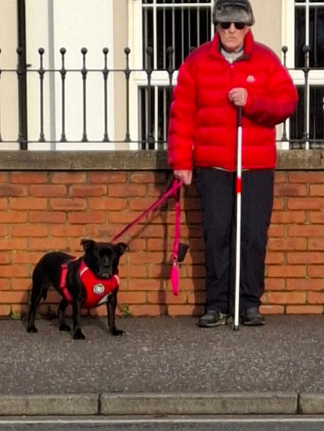 Customer photo review of Comfort Premium Harness | Non Restrictive - Red