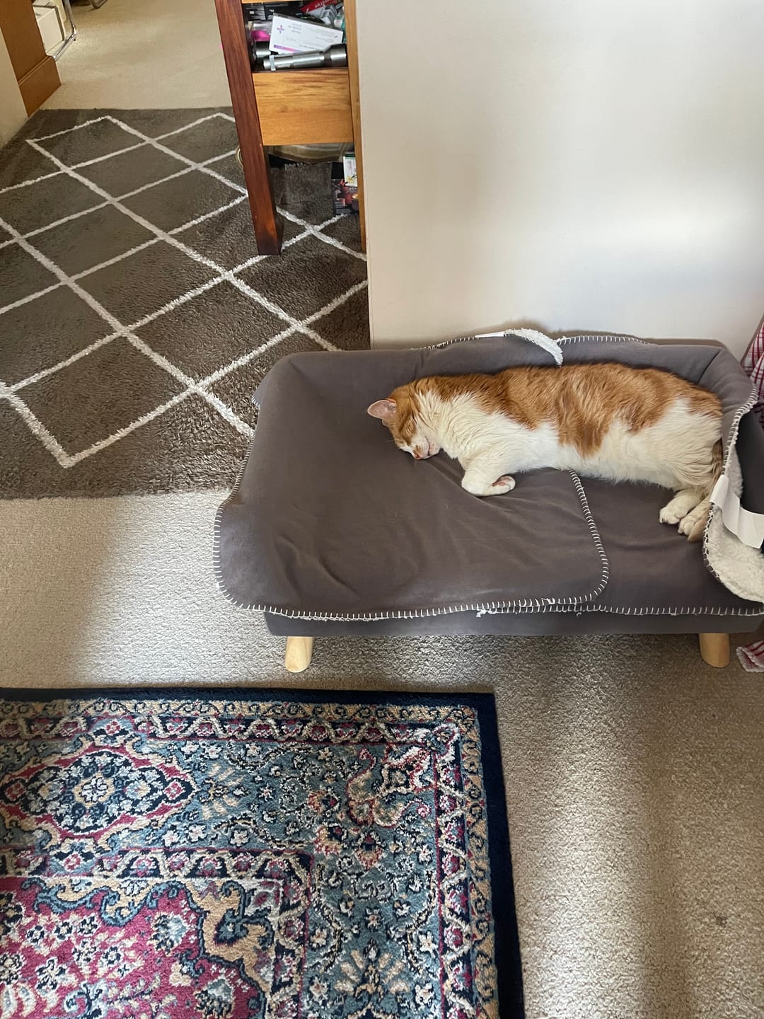 Customer photo review of PaWz Warm Soft Lounge Couch Chair Bed