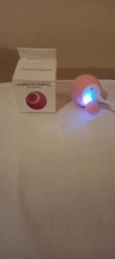 Customer photo review of Cat Interactive Electronic Automatic Rolling Magic Ball Toy: Self-moving Kitten Electric Ball for Cat Training